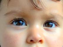 blog_post_981_featured